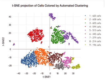 1635245325147439.png 20000.png